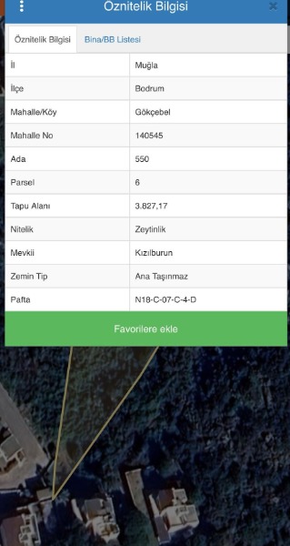 YALIKAVAK KIZILBURUNDA DENİZE 250 M DENİZ MANZARALI ZEYTİNLİK
