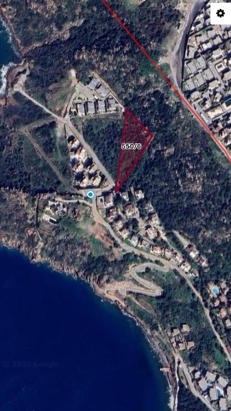 YALIKAVAK KIZILBURUNDA DENİZE 250 M DENİZ MANZARALI ZEYTİNLİK